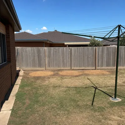 After: Storm-split gum made safe overnight, Ringwood