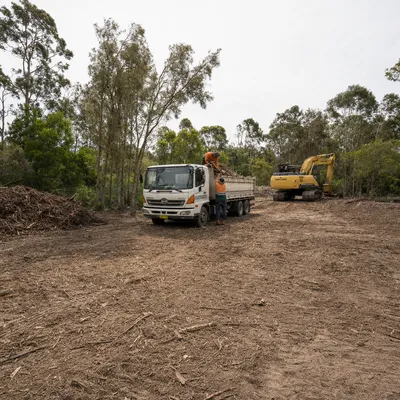 Land Clearing in Ringwood, local arborists
