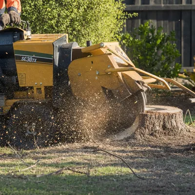 Stump Grinding Ringwood