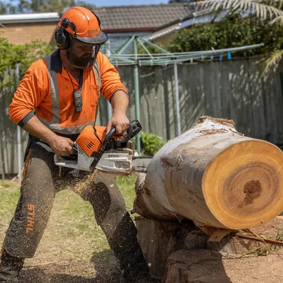 Tree Removal Ringwood
