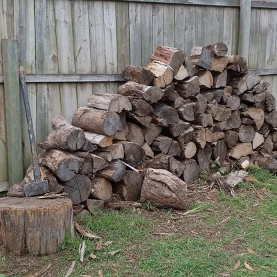 Hardwood cut for firewood, Ringwood