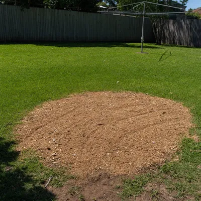 Chip kept on site or carted away, Ringwood
