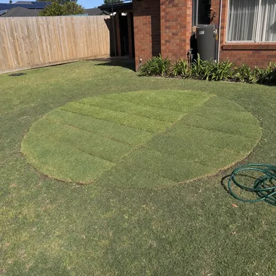 Stump out 150–300mm below the surface, Ringwood